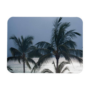 palmbomen op het strand magneet