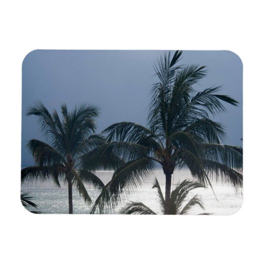 palmbomen op het strand magneet (Horizontaal)