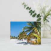 Palmbomen op het strand van de oceaan briefkaart (Staand voorkant)