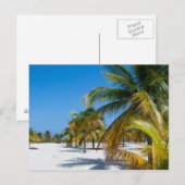 Palmbomen op het strand van de oceaan briefkaart (Voorkant / Achterkant)