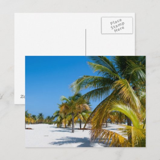 Palmbomen op het strand van de oceaan briefkaart (Voorkant / Achterkant)
