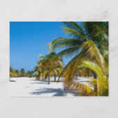 Palmbomen op het strand van de oceaan briefkaart (Voorkant)