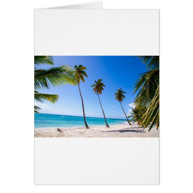 Palmbomen op het strand van Isla Saona (Voorkant)