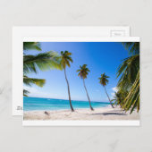 Palmbomen op het strand van Isla Saona Briefkaart (Voorkant / Achterkant)
