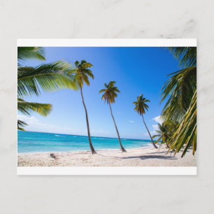 Palmbomen op het strand van Isla Saona Briefkaart