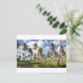 Palmbomen op het strand van Isla Saona Briefkaart (Staand voorkant)
