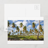 Palmbomen op het strand van Isla Saona Briefkaart (Voorkant / Achterkant)
