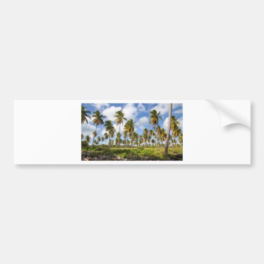 Palmbomen op het strand van Isla Saona Bumpersticker (Voorkant)