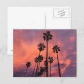 Palmbomen op het Sunset briefkaart (Voorkant / Achterkant)
