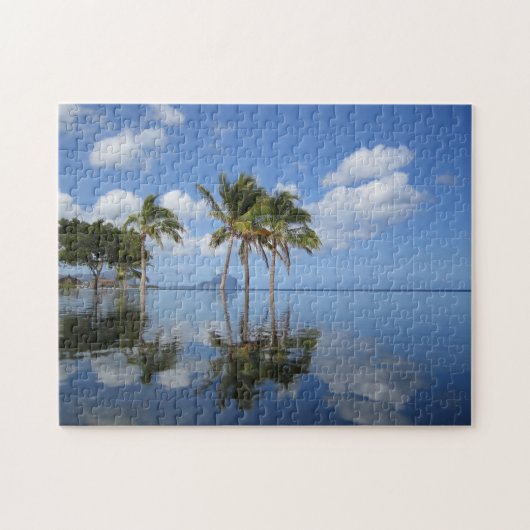 Palmbomen op Mauritius. Legpuzzel (Horizontaal)