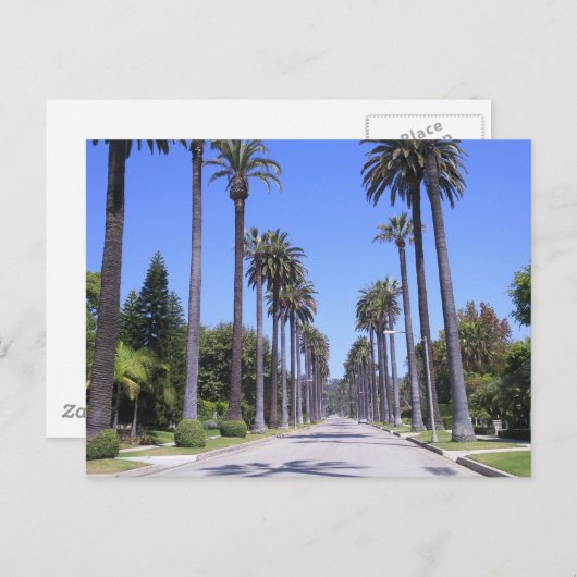 Palmbomen op straat in Los Angeles Briefkaart (Voorkant / Achterkant)