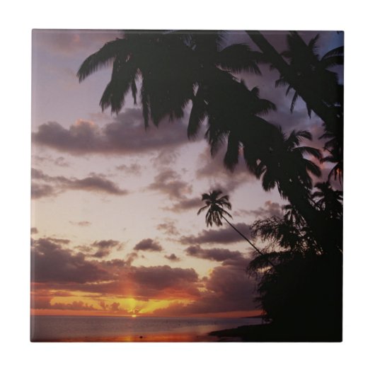 Palmbomen op zee tegeltje (Voorkant)