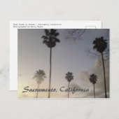 Palmbomen op zonsondergang briefkaart (Voorkant / Achterkant)
