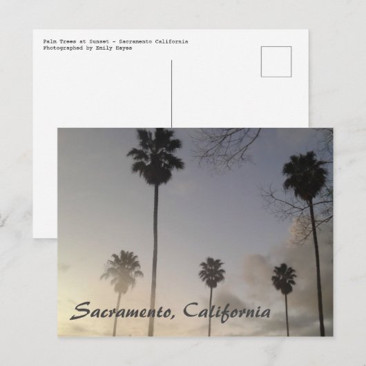 Palmbomen op zonsondergang briefkaart (Voorkant / Achterkant)