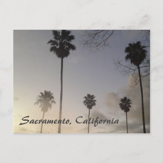 Palmbomen op zonsondergang briefkaart (Voorkant)