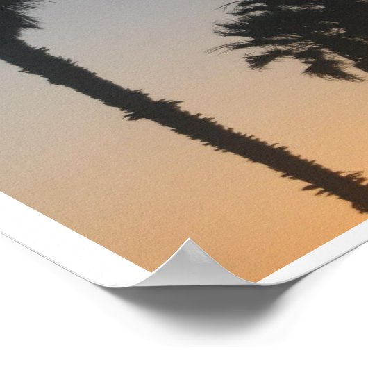 Palmbomen op zonsondergang poster (Hoek)