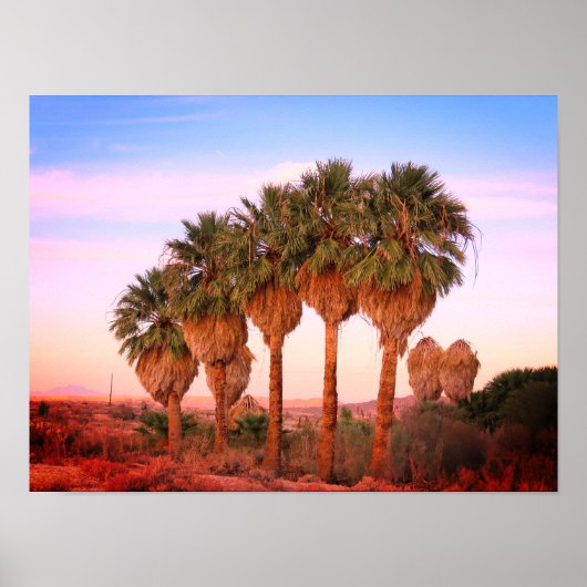 Palmbomen op zonsondergang poster (Voorkant)