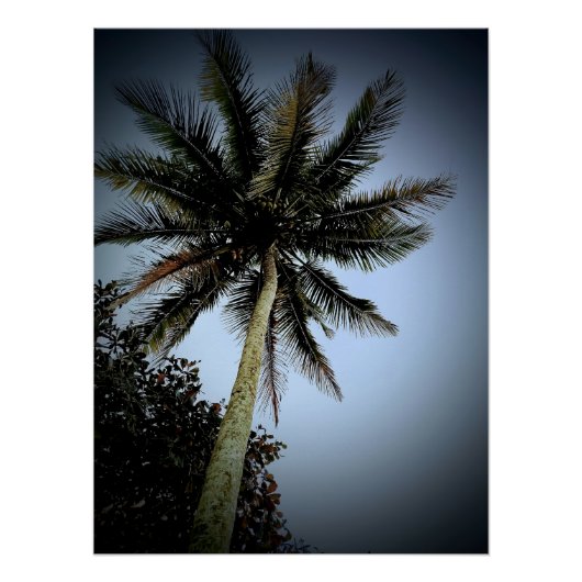 Palmbomen Perfect Poster (Voorkant)