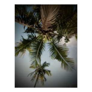 Palmbomen Perfect Poster