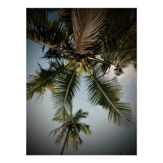 Palmbomen Perfect Poster (Voorkant)