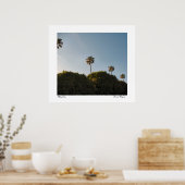 Palmbomen Poster (Keuken)