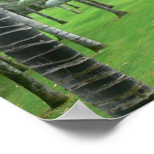 Palmbomen Poster (Hoek)