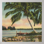 palmbomen  poster (Voorkant)