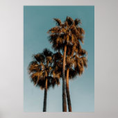 Palmbomen Poster (Voorkant)