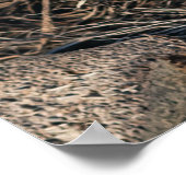 Palmbomen Poster (Hoek)