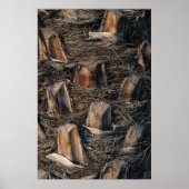 Palmbomen Poster (Voorkant)