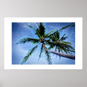 Palmbomen Posters
