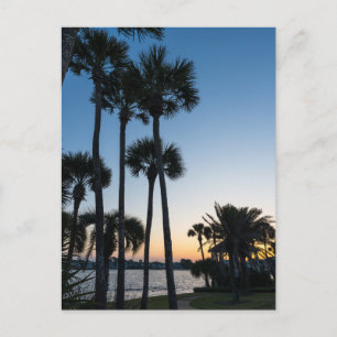 Palmbomen Sunrise Destin Florida Briefkaart