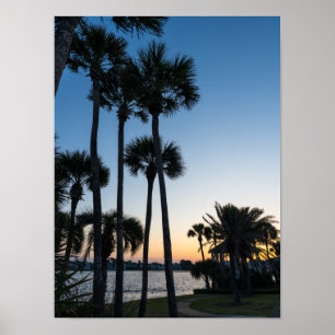 Palmbomen Sunrise Destin Florida Poster