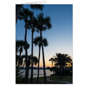 Palmbomen Sunrise Destin Florida Wenskaart