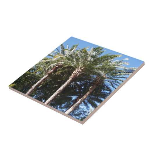 Palmbomen Tegeltje (Zijkant)
