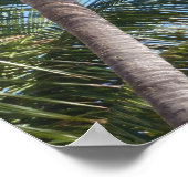palmbomen tegen blauwe hemel poster (Hoek)