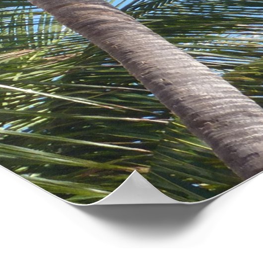 palmbomen tegen blauwe hemel poster (Hoek)