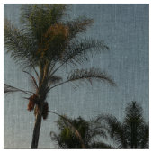 Palmbomen tegen de hemel stof (Close Up)