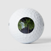 palmbomen tegen de maan golfballen (Voorkant)