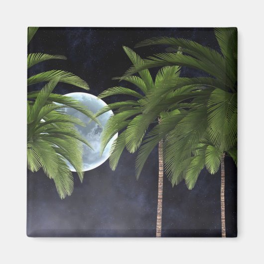 palmbomen tegen de maan magneet (Voorkant)