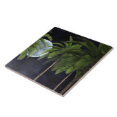 palmbomen tegen de maan tegeltje (Zijkant)