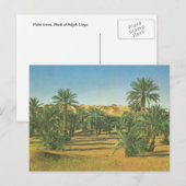 Palmbomen, Wadi el Adjal, Libië Briefkaart (Voorkant / Achterkant)