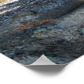 Palmbomen wortels Park bank Poster (Hoek)