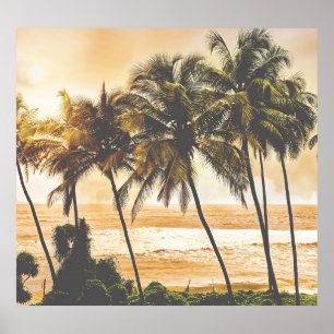 Palmbomen Zonsondergang: Goa  Poster