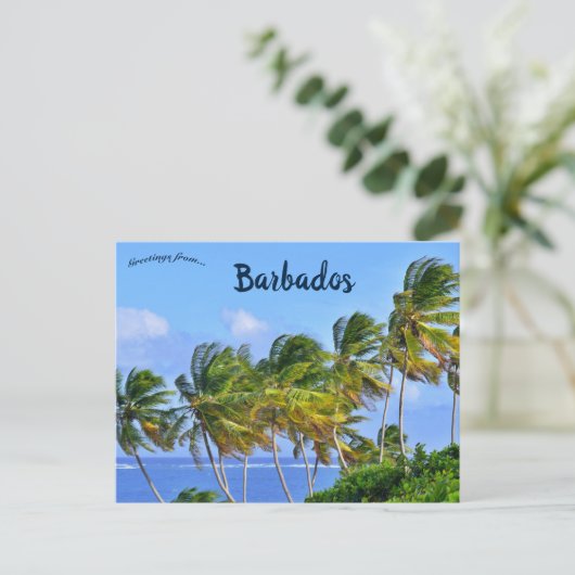 Palmbomen zwaaien in Barbados Briefkaart (Staand voorkant)