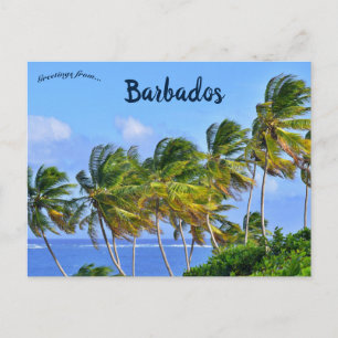 Palmbomen zwaaien in Barbados Briefkaart