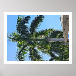 Palmbomenposter Poster