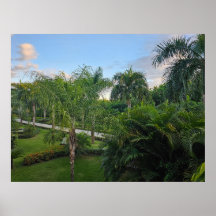 Palmbomenposter