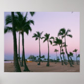 Palmboom 2 poster (Voorkant)