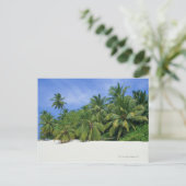 Palmboom 3 briefkaart (Staand voorkant)